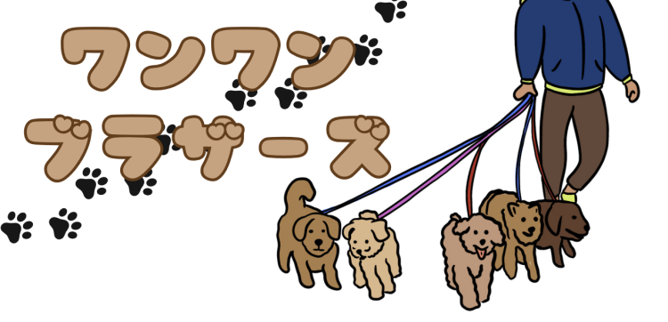 カワイイがいっぱい！ワンダーランド